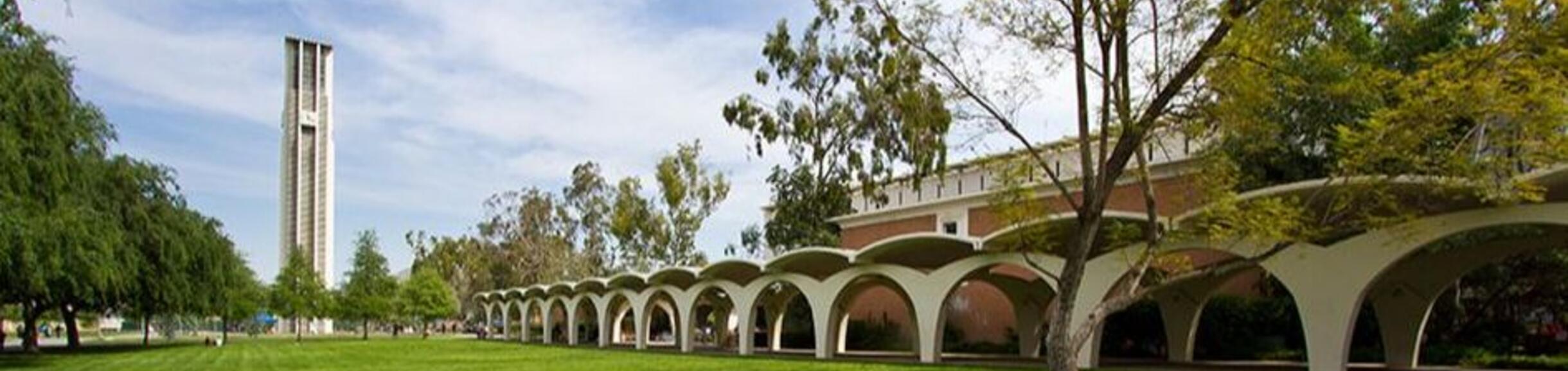 Tomás Rivera Library