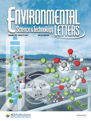 Cover art environmental letters 