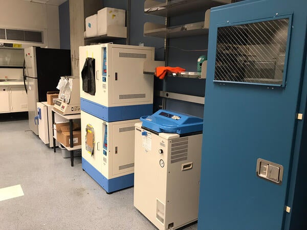 general microbiology 