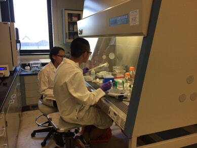  Picture 08/2016 Jing and Yaochun working in the lab.