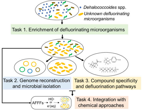Microbial Cleavage of C-F bonds in Organofluorines: mechanisms, structure specificity, and integration with physiochemical approaches