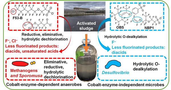 TOC_Bosen_Ether_PFAS_anaerobic