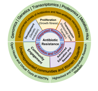 antibiotic resistance diagram