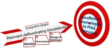 Microbial Cleavage of C-F bonds in Organofluorines: mechanisms, structure specificity, and integration with physiochemical approaches