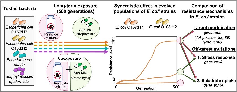 Site-specific target-modification mutations exclusively induced by the coexposure to low levels of pesticides and streptomycin caused strong streptomycin resistance in clinically relevant Escherichia coli. J. Hazard. Mater